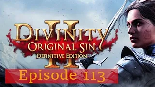 Let's Play Divinity: Original Sin 2 [Episode 112 - Horrorsleep]