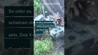Kuriose Aufnahmen: Russen schützen Panzer mit gefällten Bäumen