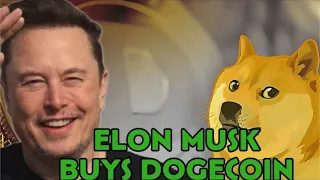 Dogecoin Breaking News!! Elon Musk Buying Dogecoin?