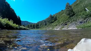 Пение птиц, шум воды, звуки природы. БЕЗ МУЗЫКИ!!! Мощное расслабление и релакс!Для глубокого сна.