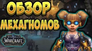 Полный обзор новой союзной расы - Мехагномы  [WoW BfA 8.3]