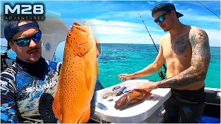 Whales & Trout - CORAL TROUT Catch and Cook