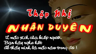 THẬP NHỊ NHÂN DUYÊN ??? 12 mắc xích do Vô minh tạo khổ  !