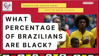 Who are  the Afro Brazilians?