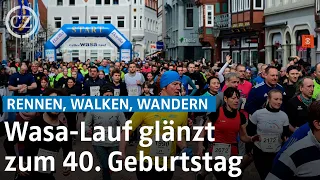 Der Celler-Wasa-Lauf glänzt zum 40. Geburtstag