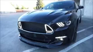 Tour of My Mustang GT!