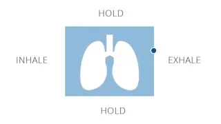 3 Minute Box Breathing Exercise