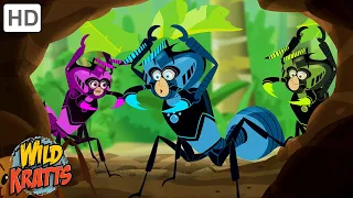 The Real Ant Farm | Inside the Leafcutter Ant's Nest | Wild Kratts