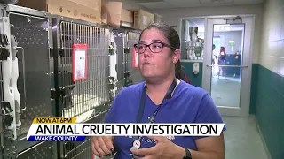 2 arrested in animal cruelty case; 22 cats removed from Wake County home, only 5 survived