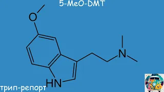5-MeO-DMT (секрет жабы) трип-репорт