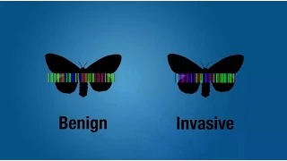 DNA Barcoding