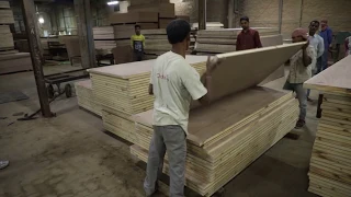 Gattani plywood production