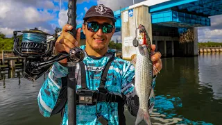 Dropping Giant Baits Around Bridges