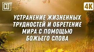 Включайте на весь экран и наполните свой дом красотой природы и Силой Божьего Слова | Библия