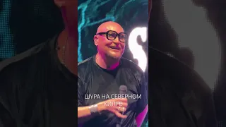 Шура на Северном Кипре