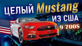 Целый Ford Mustang 2.3 из США - подарок под Новый Год 🎄Покупал "биток" а приехал целый маслкар!