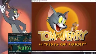 Tom And Jerry Fists Of Furry Speedrun(WR,17:12,Any% Tom, Medium)