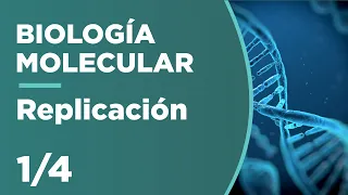 REPLICACIÓN del ADN | Biología Molecular 1/4