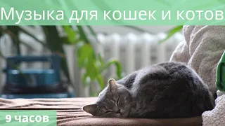 #24🐱Музыка для кошек и котов🐱  Успокойте ваших кошек музыкой, помогите котам спать