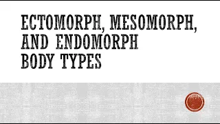 Ectomorph, Mesomorph, and Endomorph Body Types