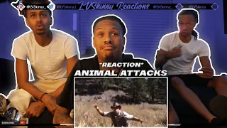 Top 10 Most Vicious Animal Attacks and How to Survive Them (Reaction Video)