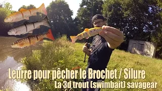 Leurre pour pêcher le Brochet / silure...3D Trout (swimbait) savagear -GoPro HD