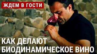 В гармонии с природой. Как делают биодинамическое вино? | ЖДЁМ В ГОСТИ