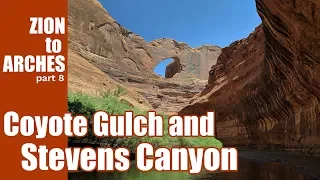 Hiking Zion to Arches ep 08 Coyote Gulch and Stevens Canyon | 4K