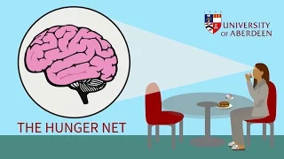 The hunger net - Unraveling brain circuits to understand and combat eating disorders