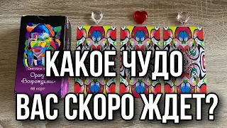 Какое Чудо Вас скоро ждет? Гадание на оракуле Возрождение расклад онлайн