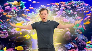 MY FULL $50,000 REEF AQUARIUM TOUR!