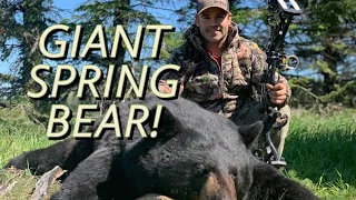GIANT BEAR DOWN! | Bowhunting Bear in Saskatchewan