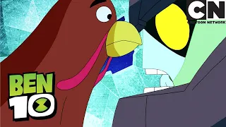 Grand-Père Se Transforme En Poulet | Ben 10 Français | Cartoon Network