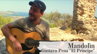 Mandolín - Gustavo Pena "El Principe" - (Cover @lodelmagomusic)