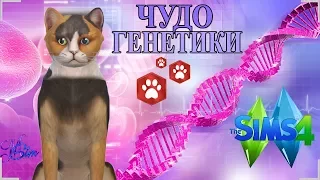 ★ The Sims 4 Кошки и Собаки: Challenge Чудо Генетики | КОТОПЕС ★