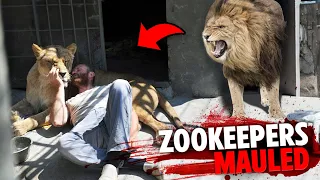 These 3 Zookeepers Were FATALLY MAULED In Front Of Visitors And Staff!