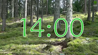 14 Minute Nature Timer with Alarm - Countdown with Relaxing HD Nature Sounds - Birdsong Background