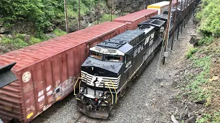 EXTremely HEAVY Coal Train W/ 6 Locomotives Passes BIG 5 Loco Manifest Right Under Me!  Pennsylvania