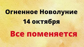 Огненное Новолуние - 14 октября. Все поменяется.