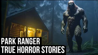 12 TRUE Creepy Park Ranger Horror Stories (Dogman,Sasquatch,Wendigo,Skinwalker,Cryptids...)