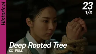 [CC/FULL] Deep Rooted Tree EP23 (1/3) | 뿌리깊은나무