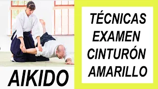 TECNICAS AIKIDO CINTURON AMARILLO - ESCUELA TISSIER