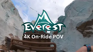 Expedition Everest at Animal Kingdom On-Ride POV