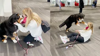 Girl And Her Dog Are Reunited After Over A Month Apart