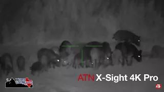 ATN X-Sight 4k Pro 5x20 Night Vision Hog Down 60 Yards