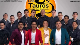 Orquesta "Los Tauros" -  Mix Cumbias