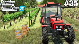 Purchase of a feed mixer. Grape harvest. Selling moonshine. Kolonia. FS22. Timelapse 35