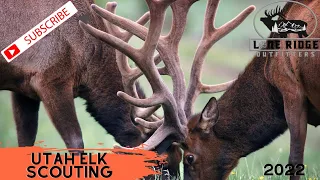 Utah Elk Scouting | Summer 2022 | Lone Ridge Outfitters