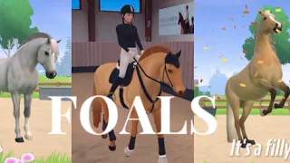 The BEST BATCH of FOALS I've ever bred! || Equestrian the Game