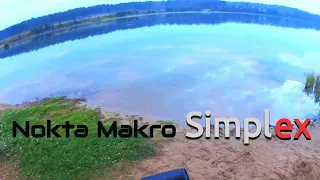 Поиск с Симплексом на пляже в воде. Nokta Makro Simplex.